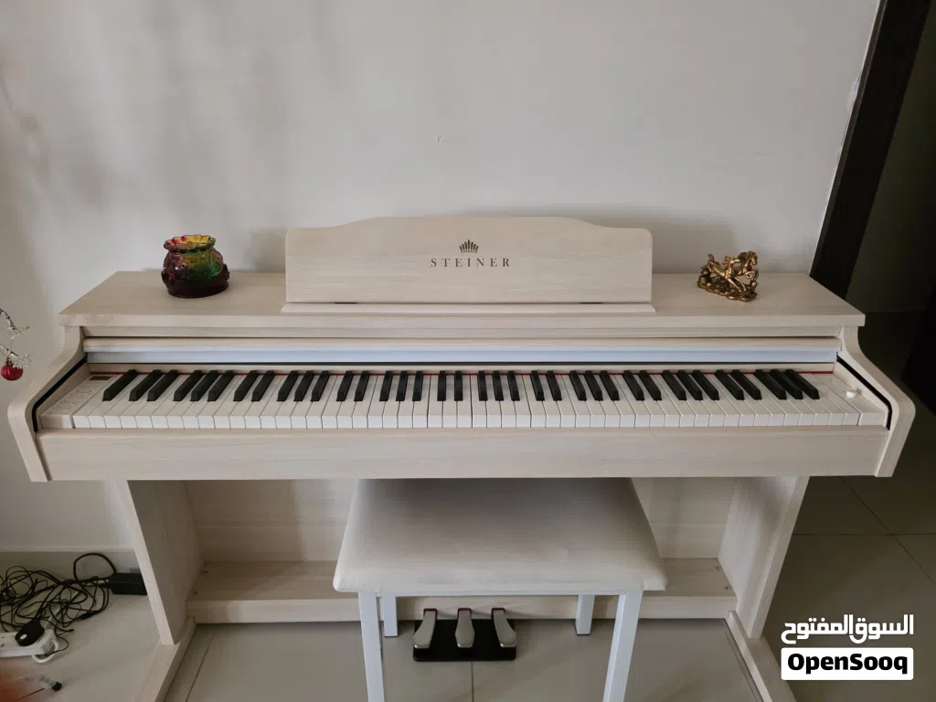 Digital piano, brand -Steinway