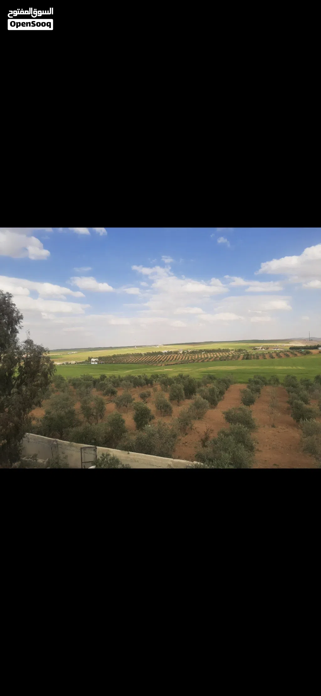 مزرعه للبيع