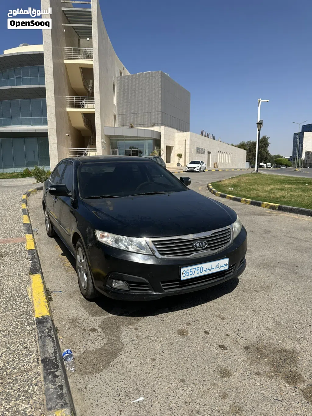 Kia Lotze