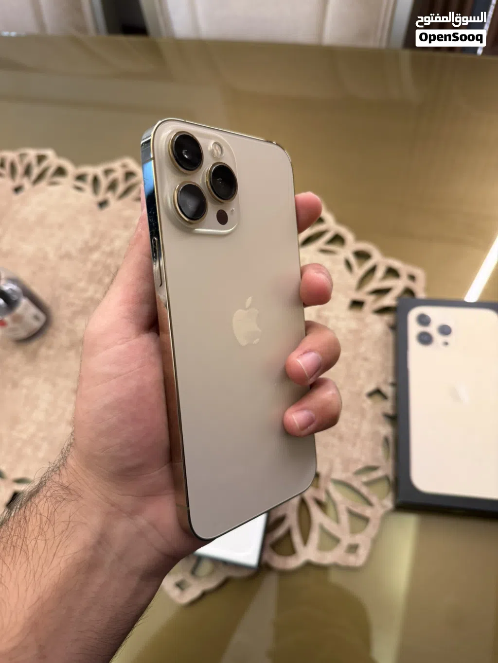 iPhone 13 Pro Max 256