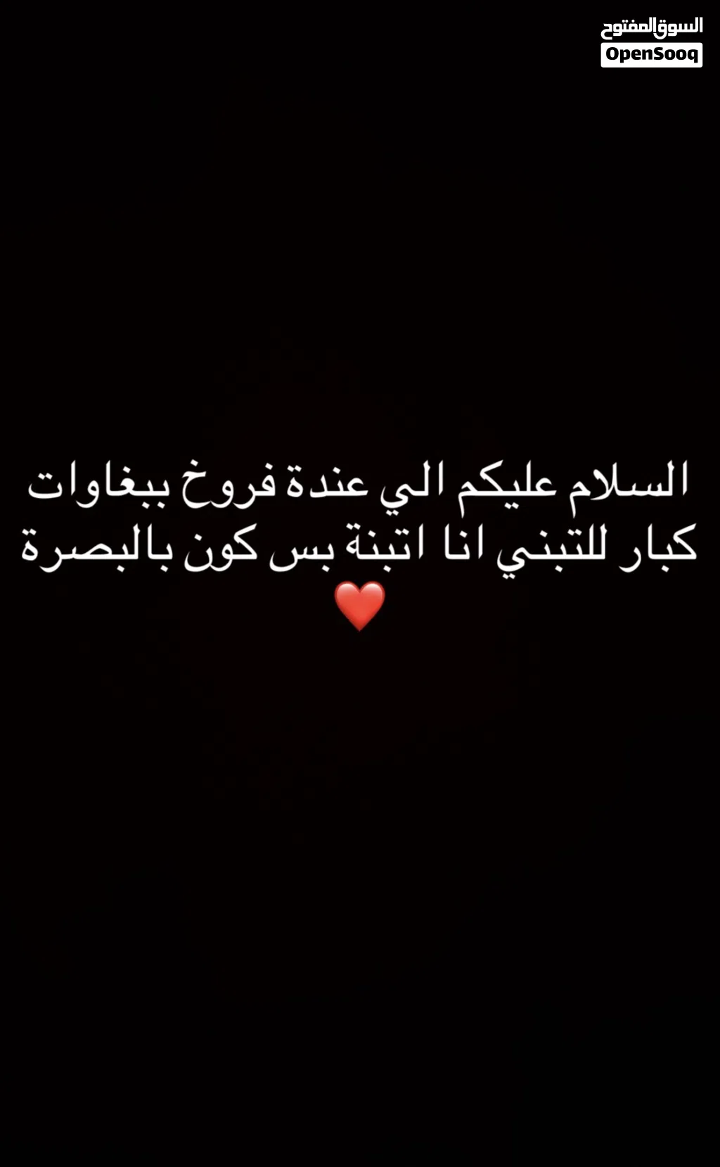 محتاج فروخ طيور چبيرة