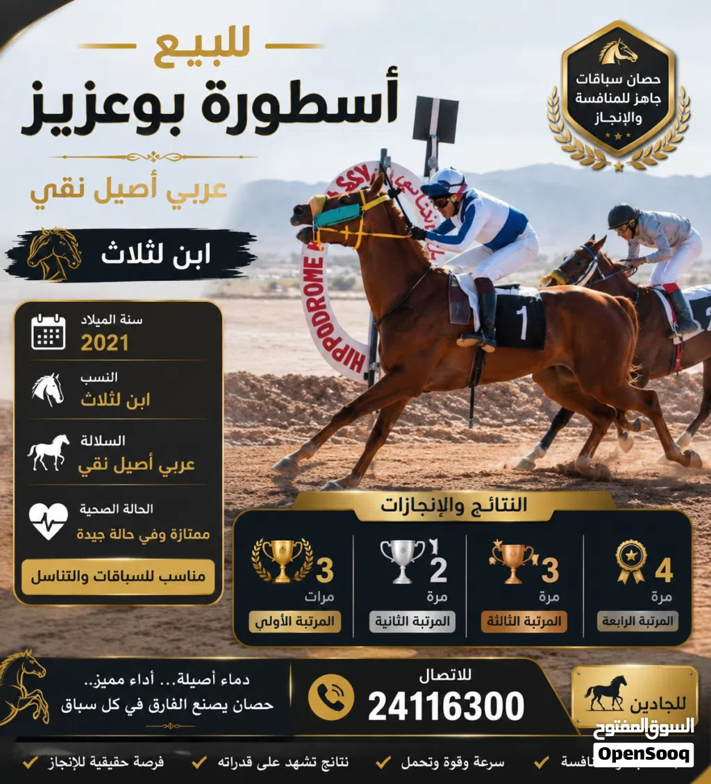 حصان عربي أصبل