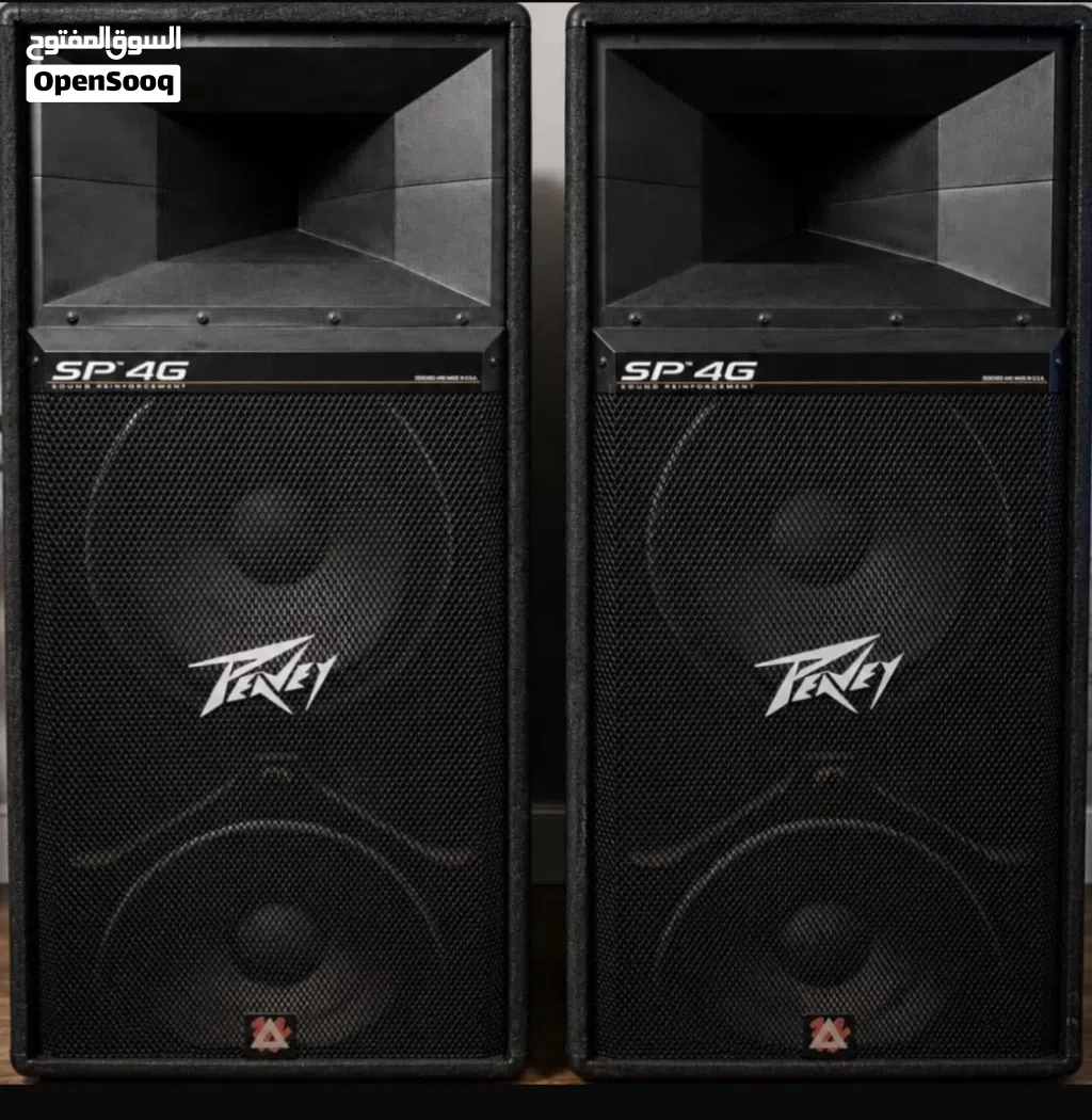 Sp4g peavey speaker