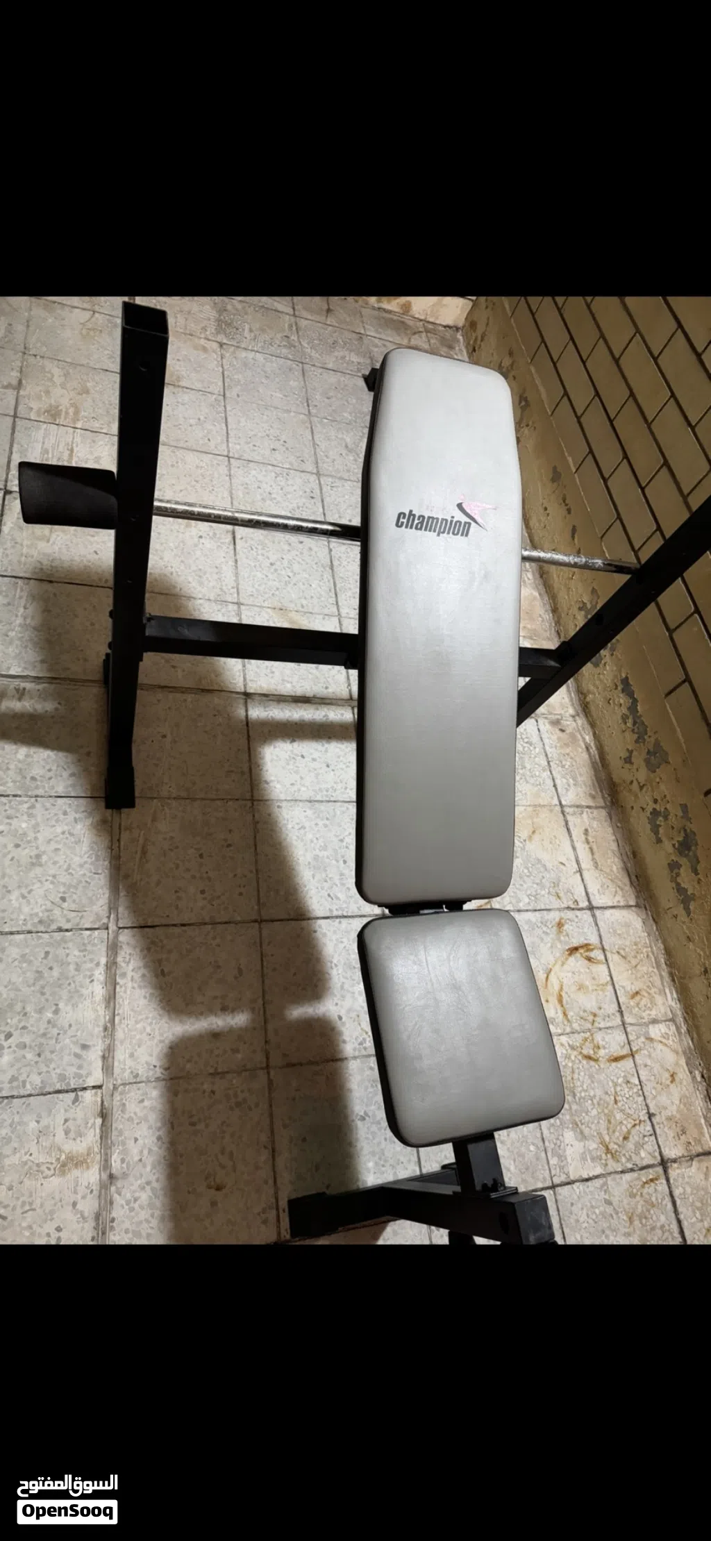 بنش صدر Bench Press Bench
