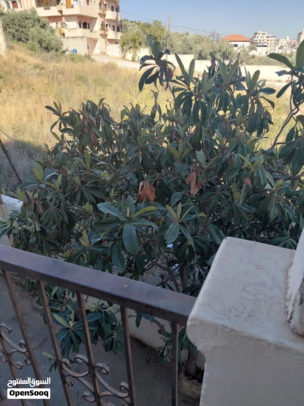 استديوهات للايجار