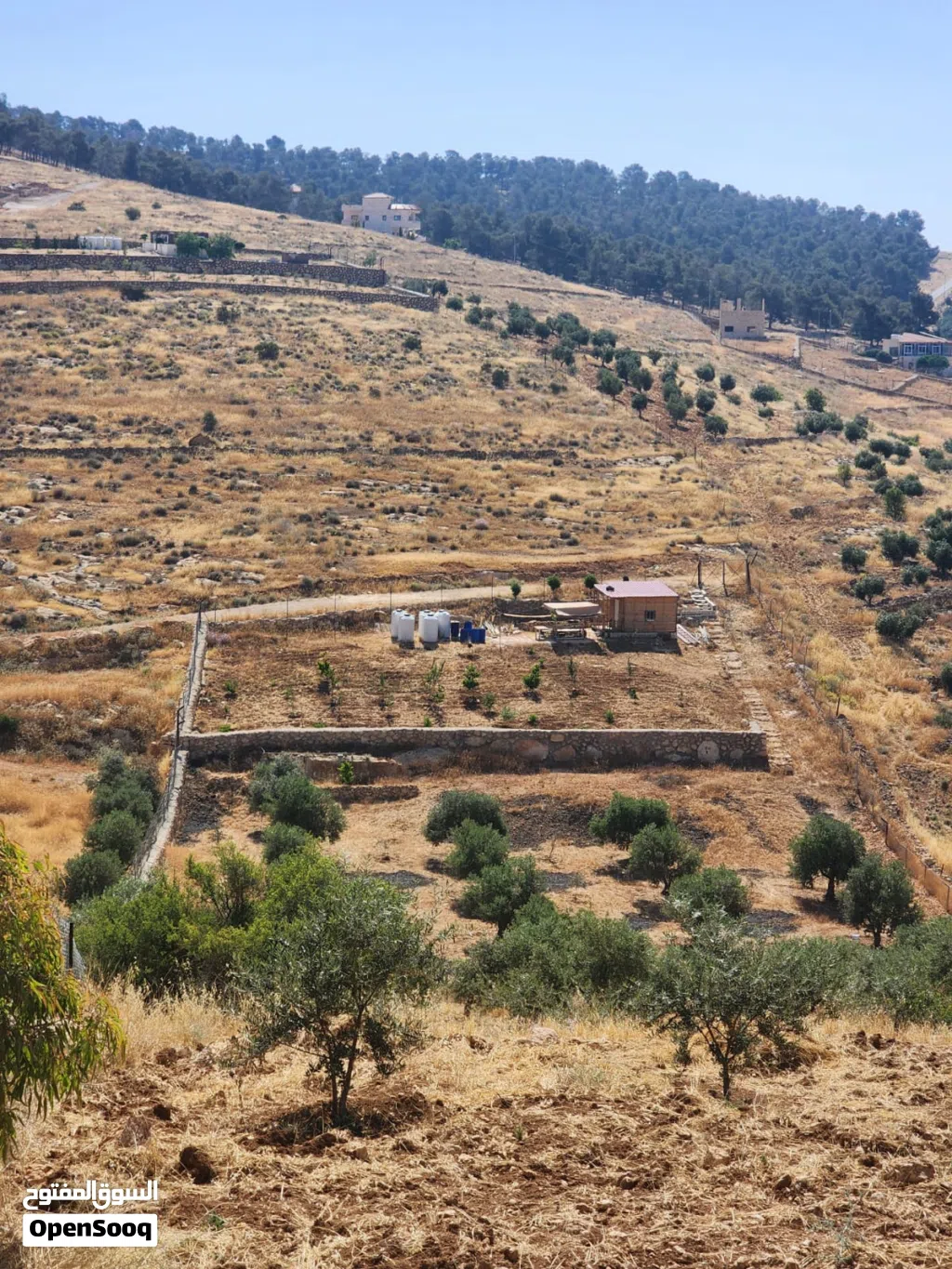 مزرعه للبيع نادره خربت المطوي
