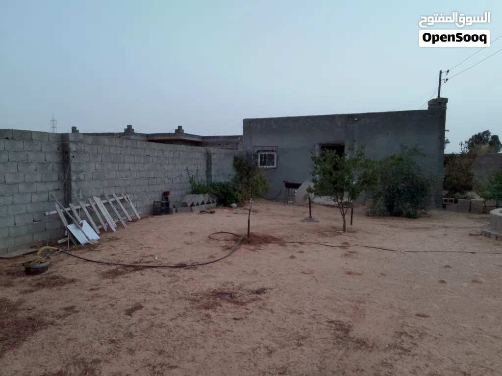 تاجوراء النشيع