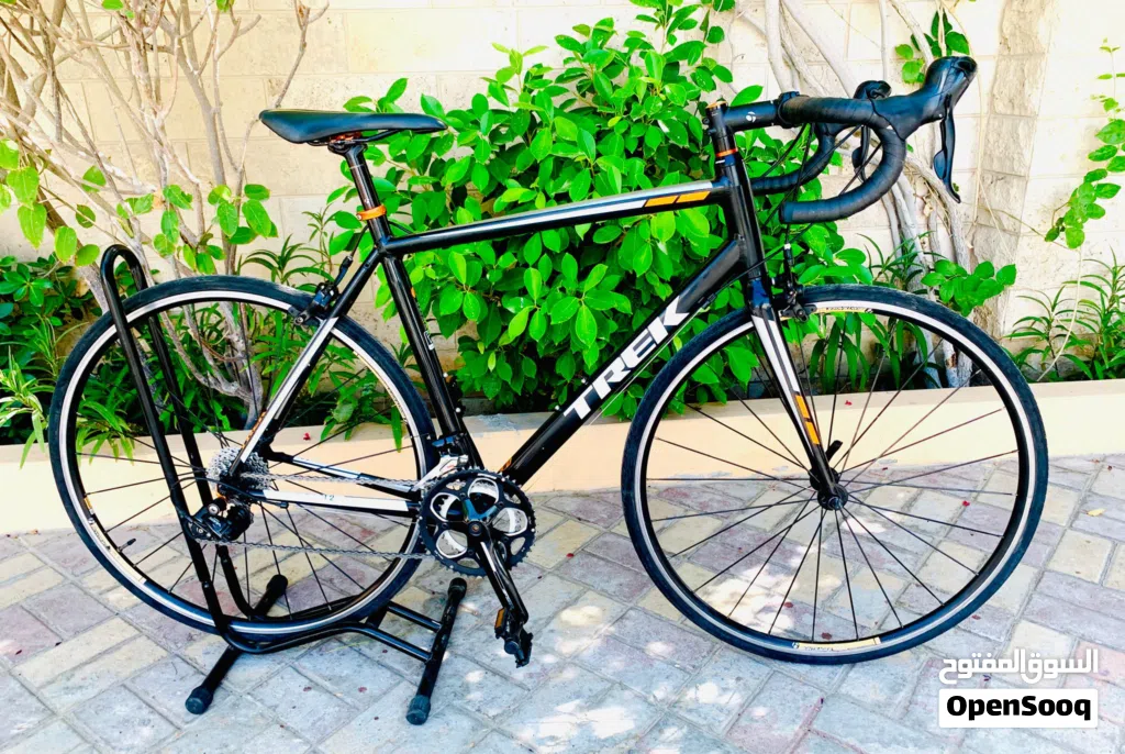 Trek Road Bike