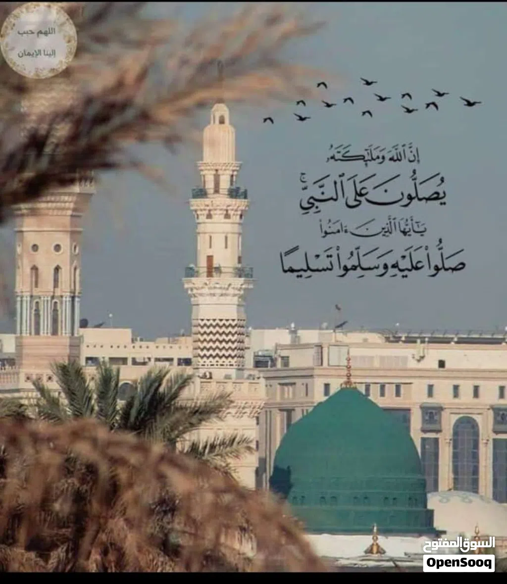 مطلوب شخص لسكن موقت من 25الشهر