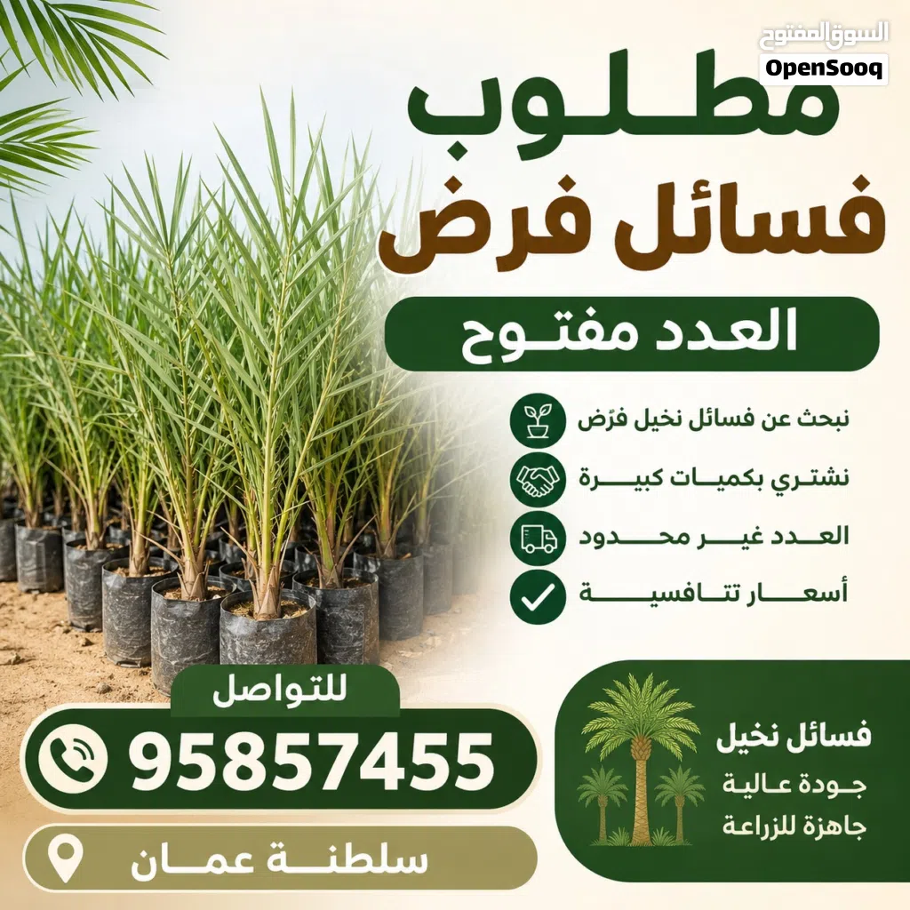 مطلوب شراء فسائل نخيل فرض
