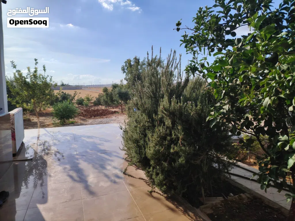 فرصة استثمارية نادرة - مزرعة مميزة للبيع في بلعما / طريق النمرة