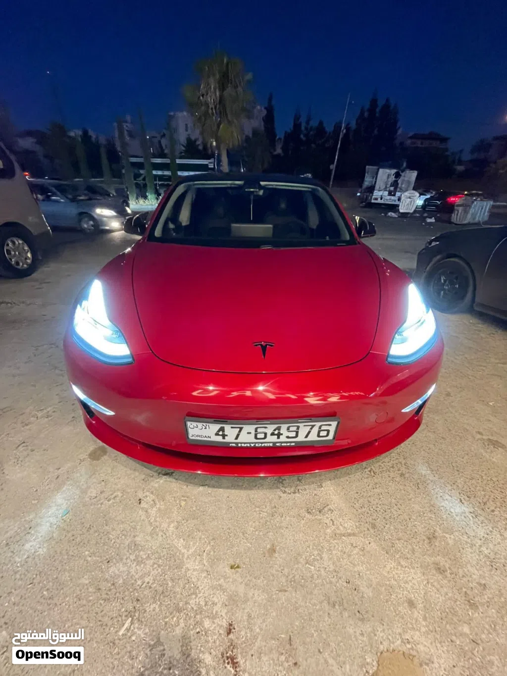 Tesla Model 3 Performance