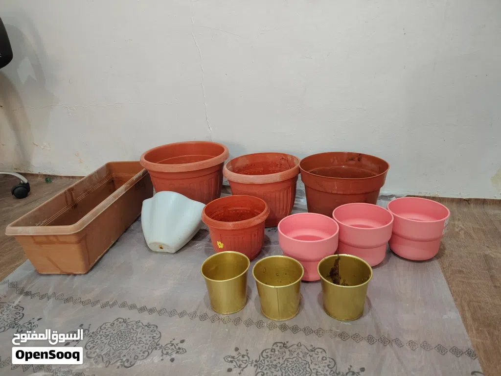 Plant Pots sale in Mangaf Block 4