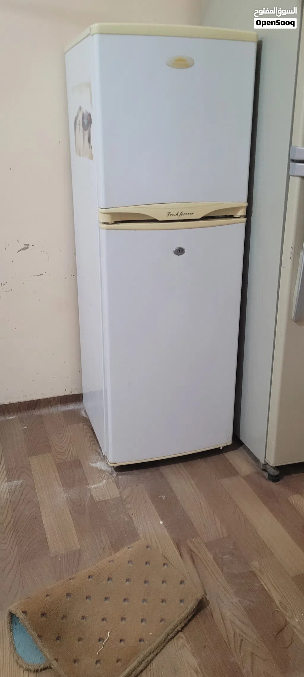 ثنتين ثلاجات كهرباء استخدام منزلي بسيط