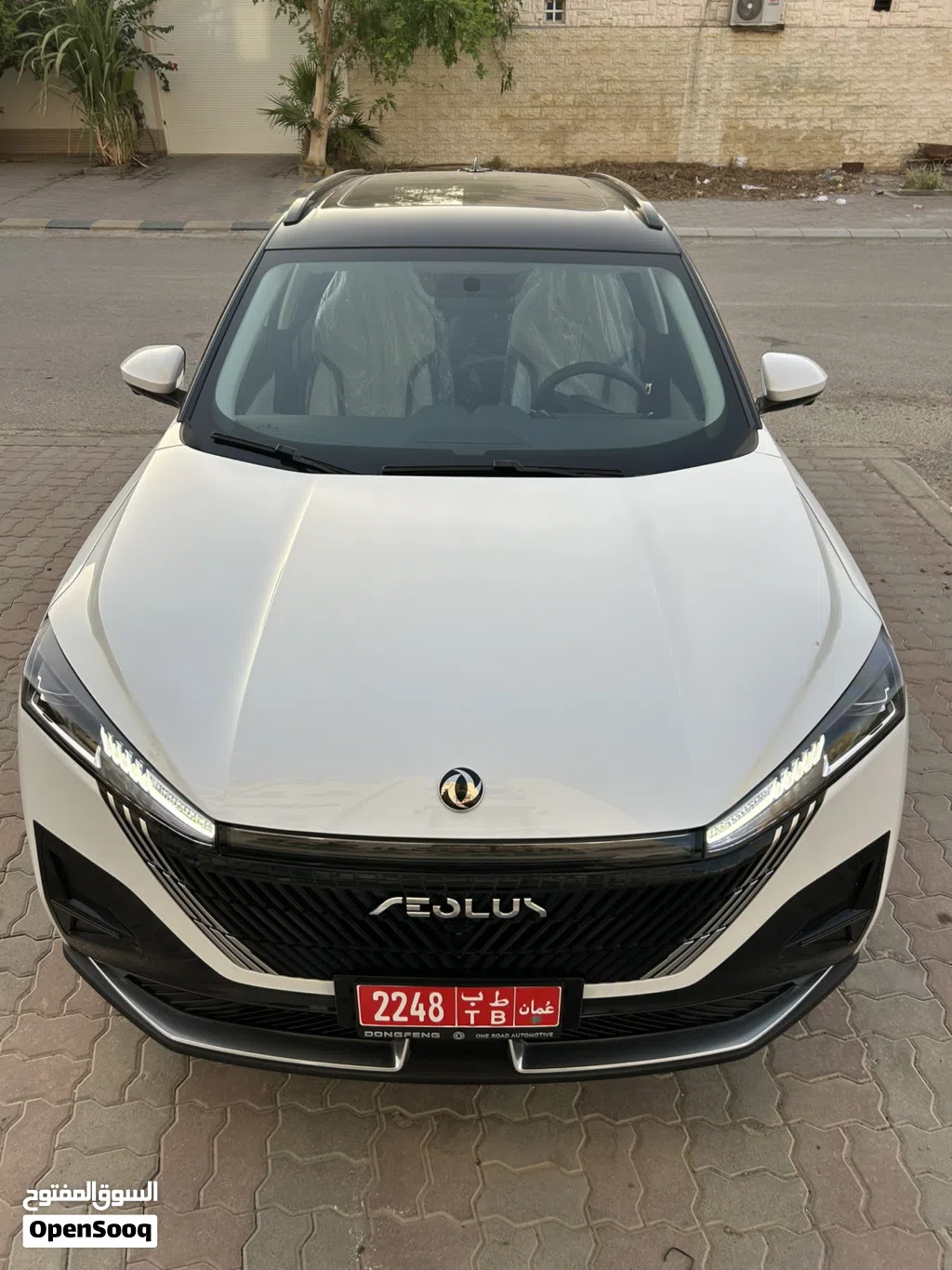 Dongfeng Mage EV