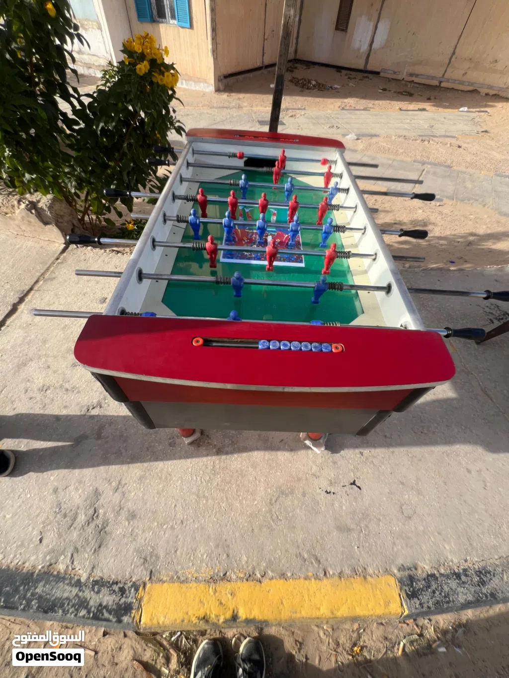 جطوني ايطالي