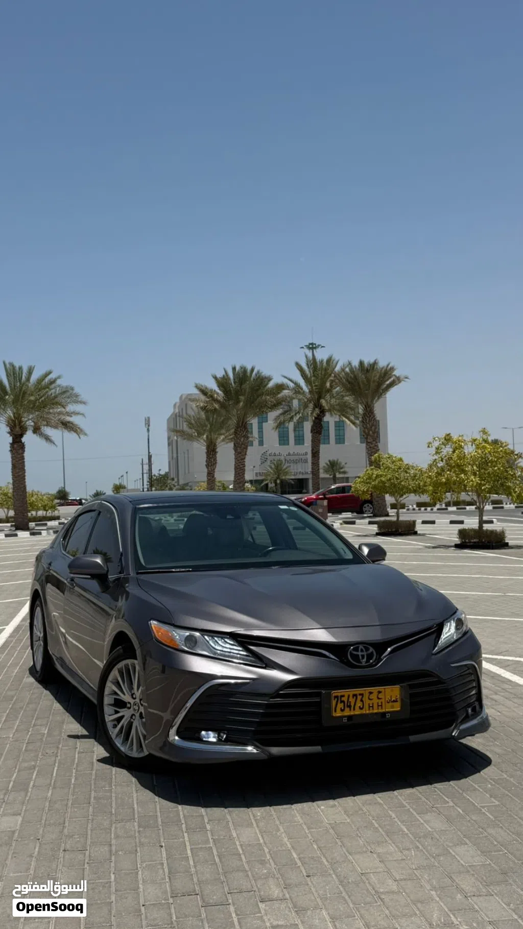 Toyota Camry XLE