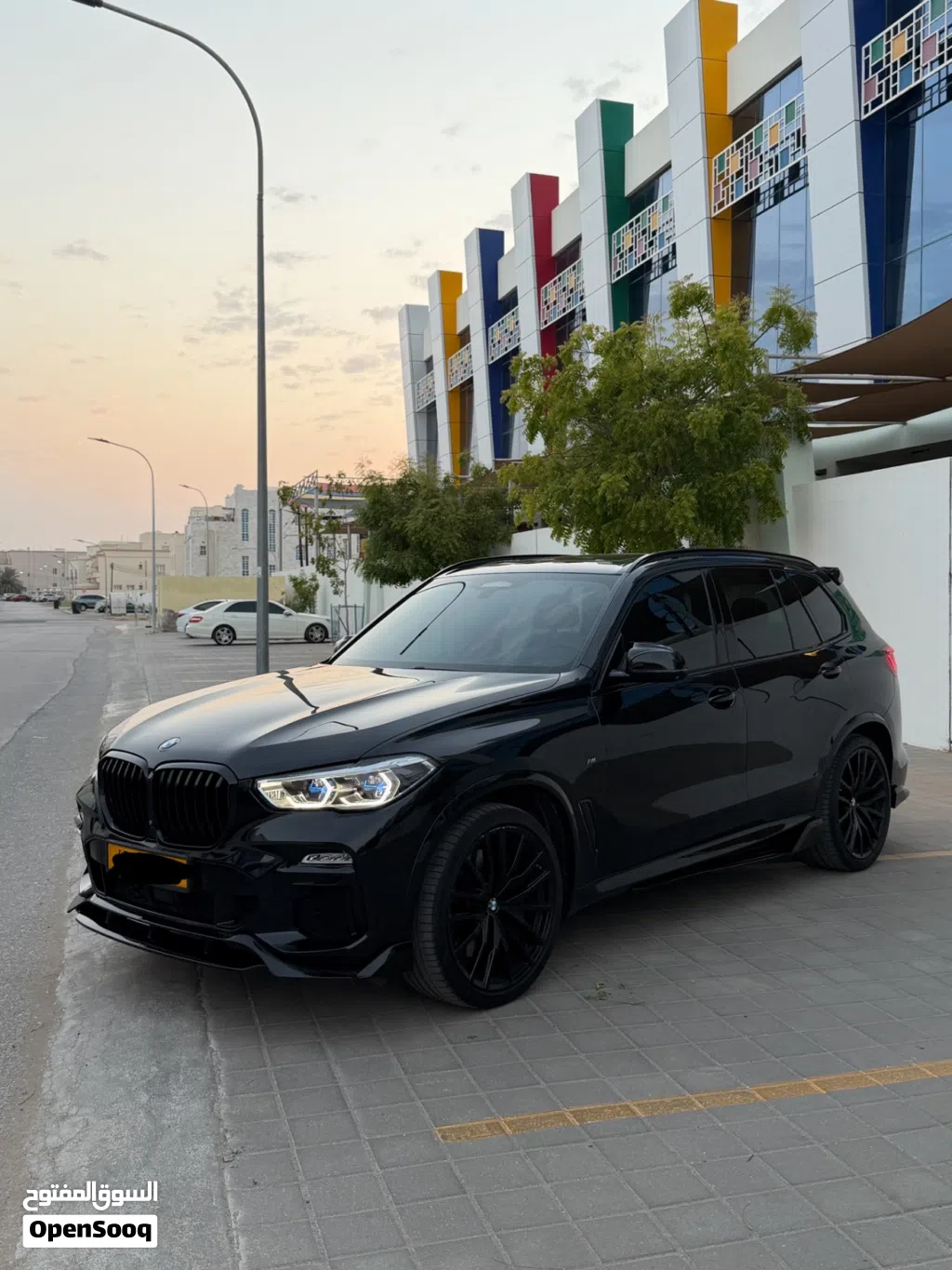 BMW X5 Series X5 M50i