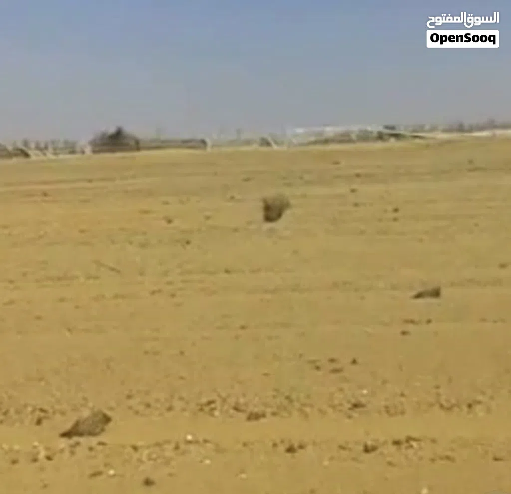 مزرعه في البحر العامره ،،جديده للايجار او الاستثمار