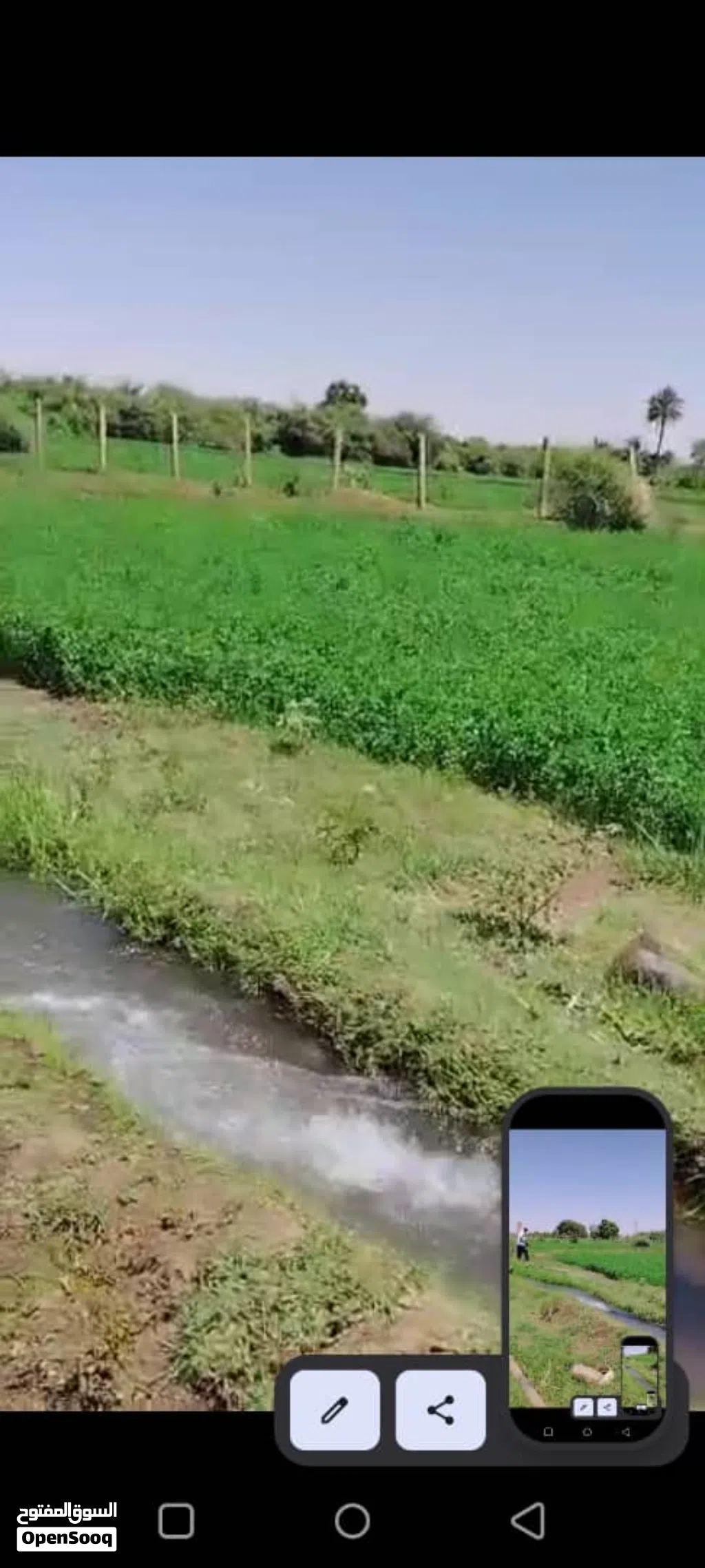 *مزرعه للبيع* شهادة بحث حديثه وكروكي للمزرعه* *3 فدان*
