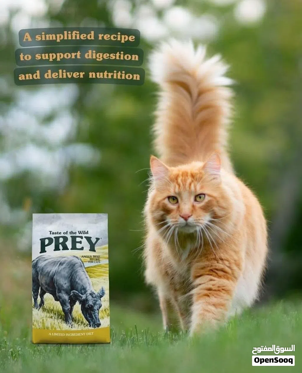 Premium Pet Cat Food