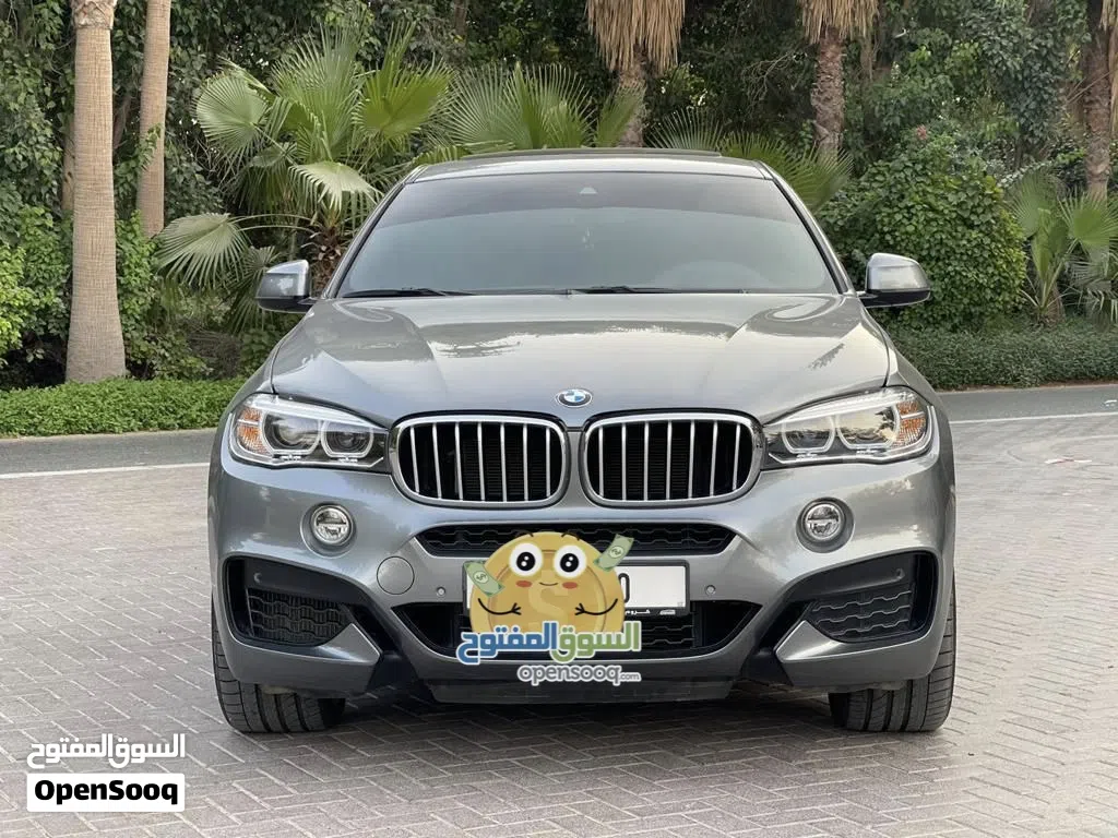 BMW X6 Series The X6 M Competition