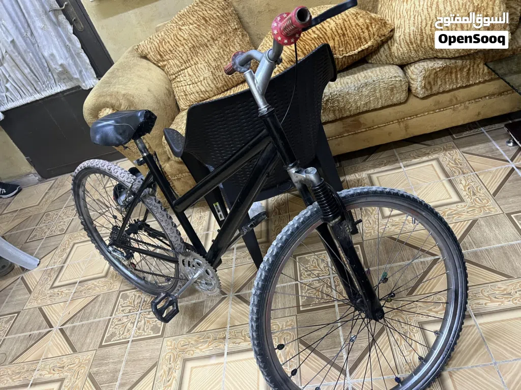 QJmotor Commute
