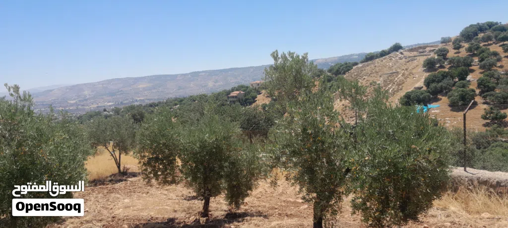 قطعه ارض مطله