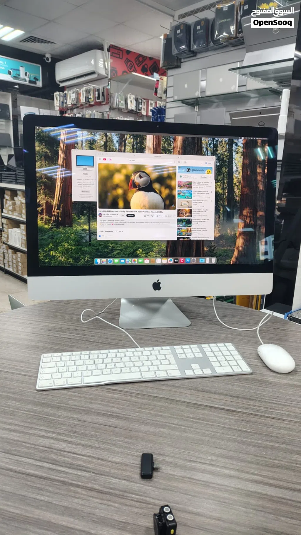 Used Apple iMac i9 in Oman 16GB/256GB