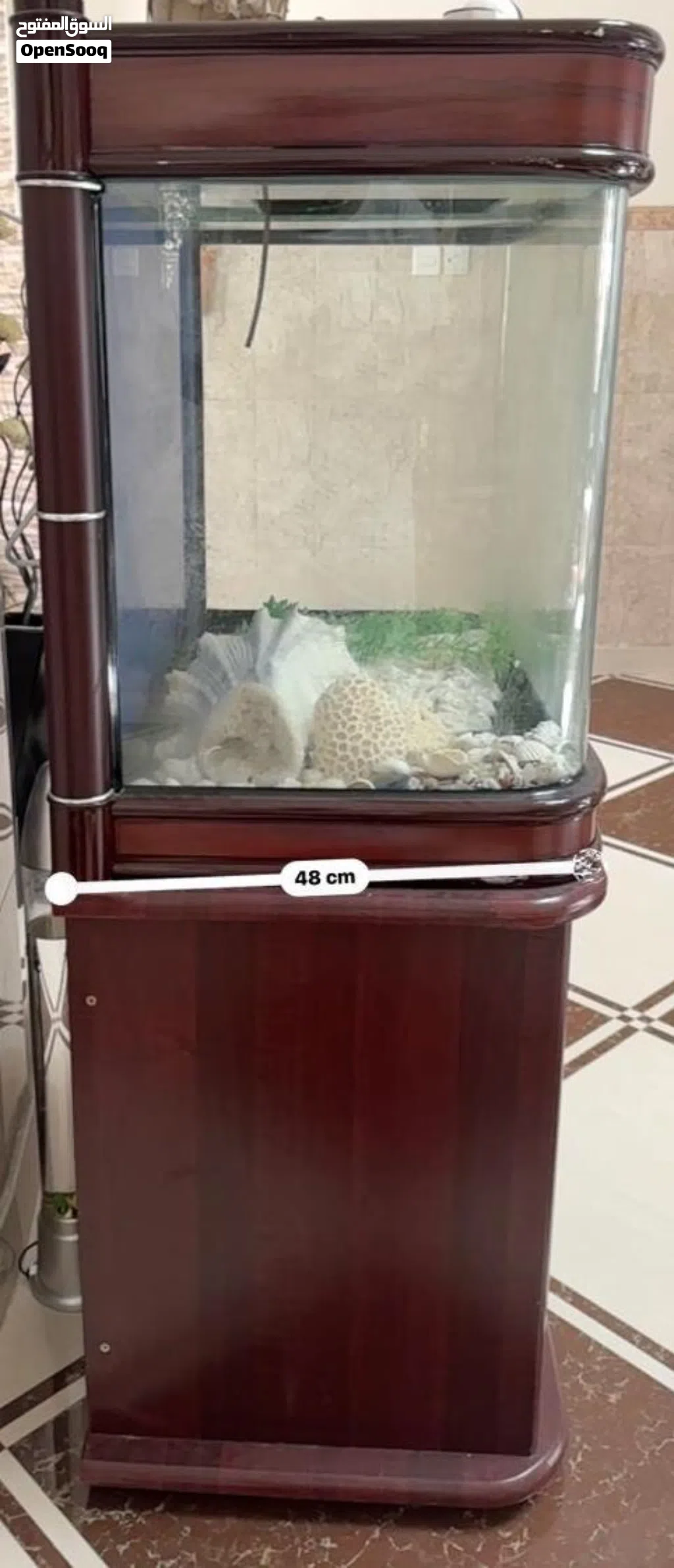 اموره طيبه