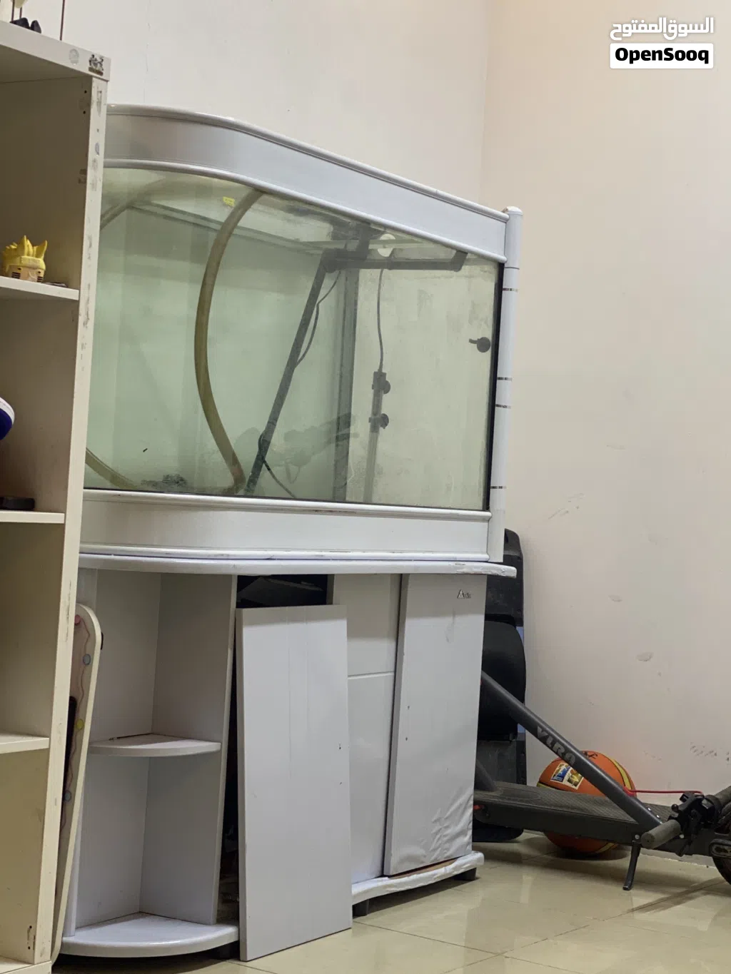 Big fish tank