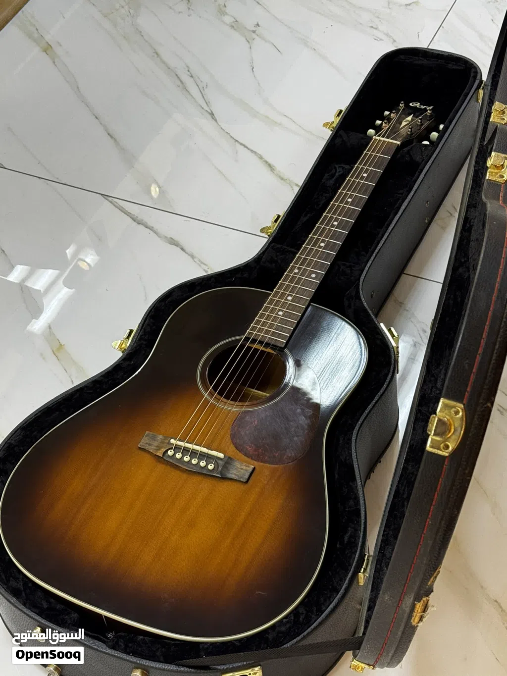 CORT Earth Electro Acoustic Guitar