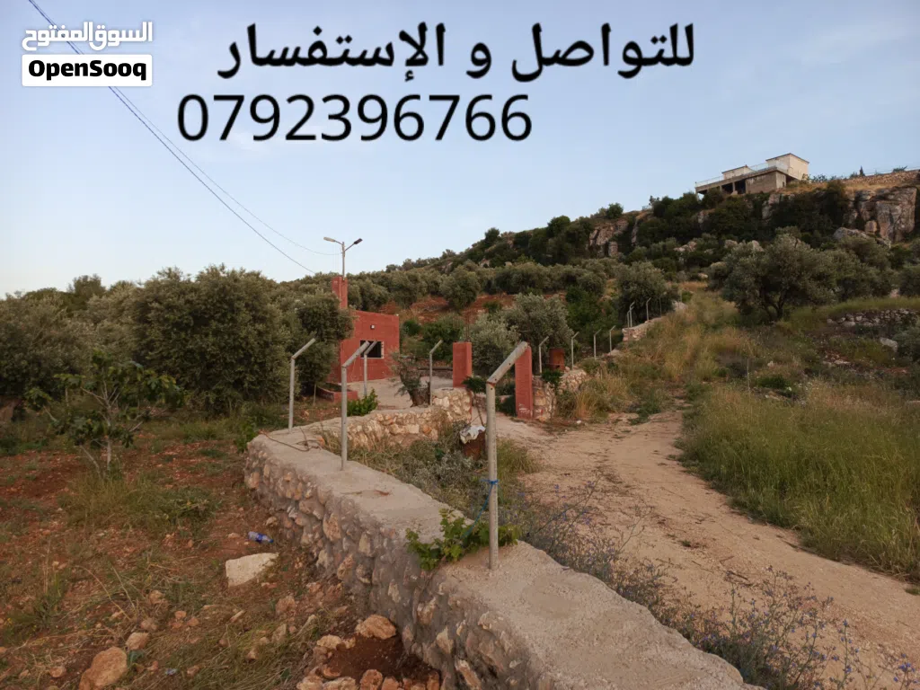 مزرعة في سوف من افضل مناطق و اطلالات سوف للتواصل والإستفسار:- مناور العتوم ابو رشاد
