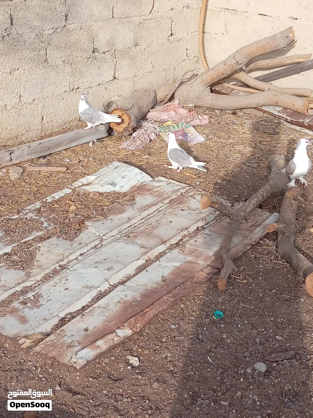 اقرأ الوصف مهم جدا