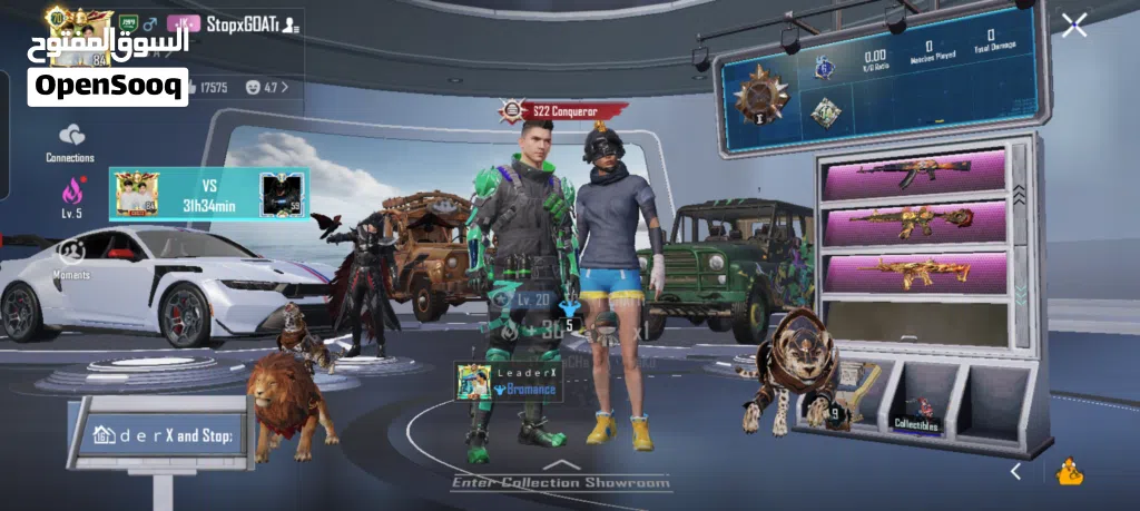 Pubg Accounts rare