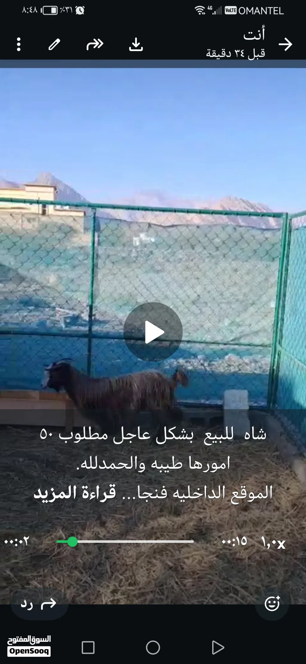 شاة جميلة نشيطة للبيع