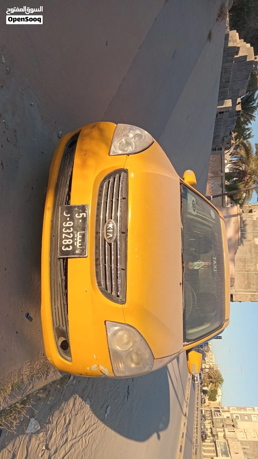 Kia Lotze
