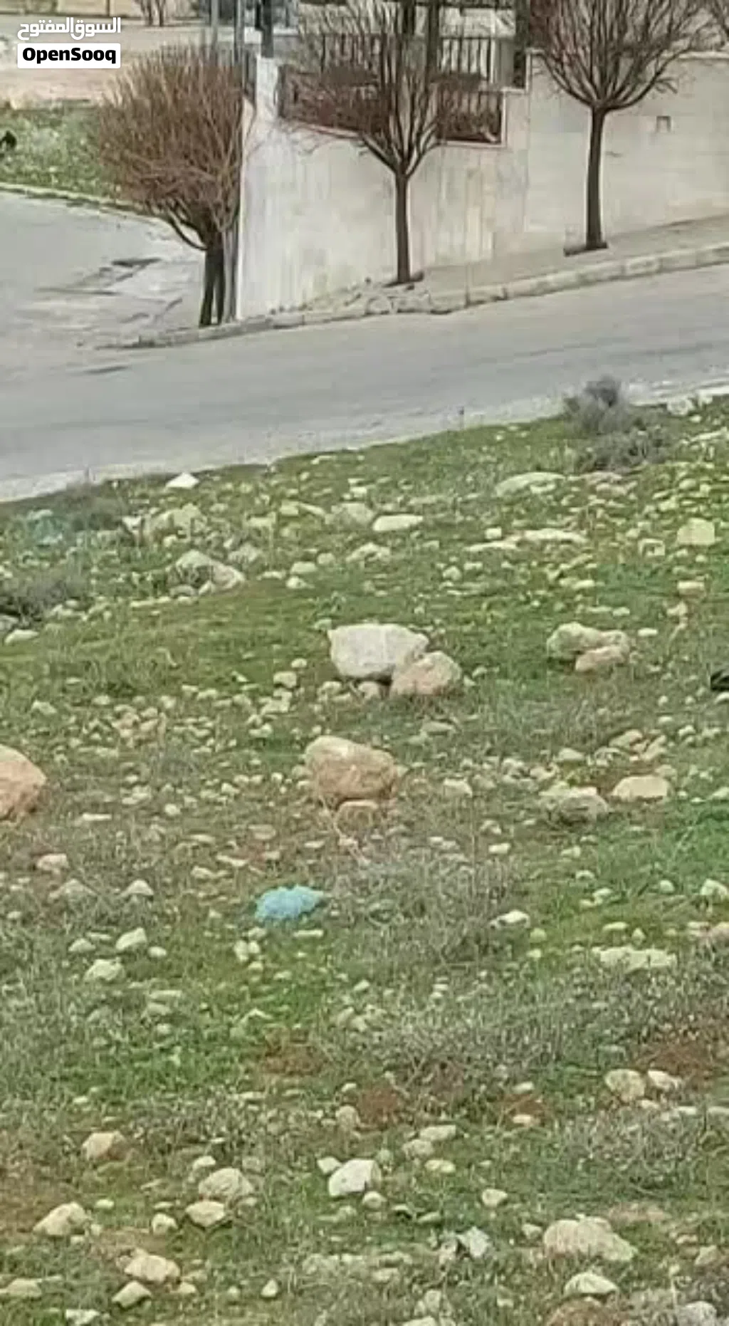 ارض مميزة(بسعر خاص) في صافوط حوض ام بطمة
