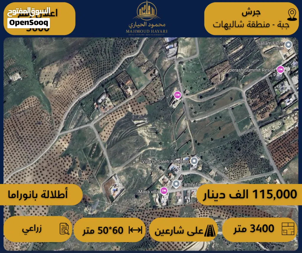 رقم الإعلان: (5600) قطعة أرض بإطلالة بانورامية خلابة – جبة / جرش - منطقة الشاليهات