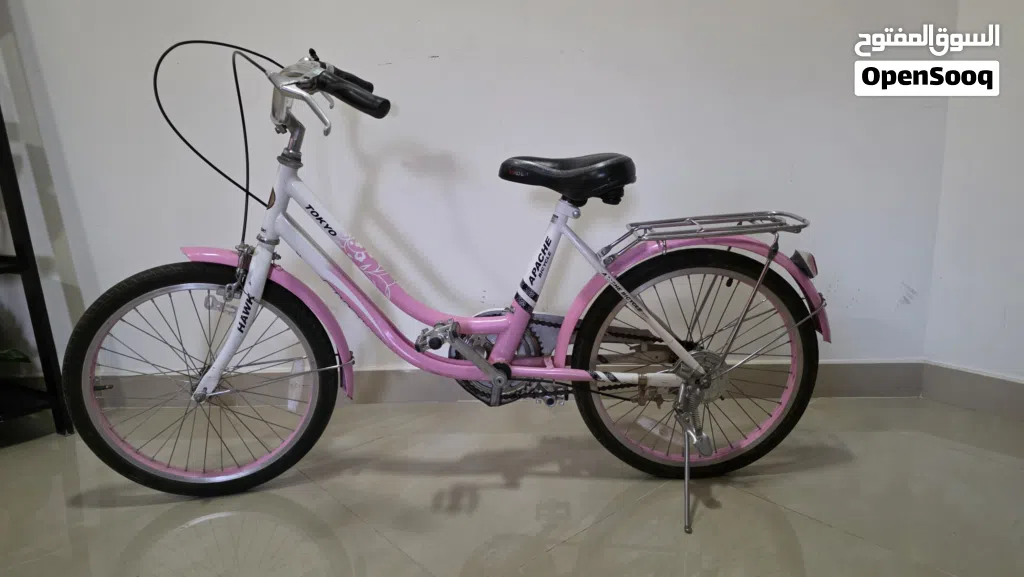 20-inch Girls Bicycle - Good Condition