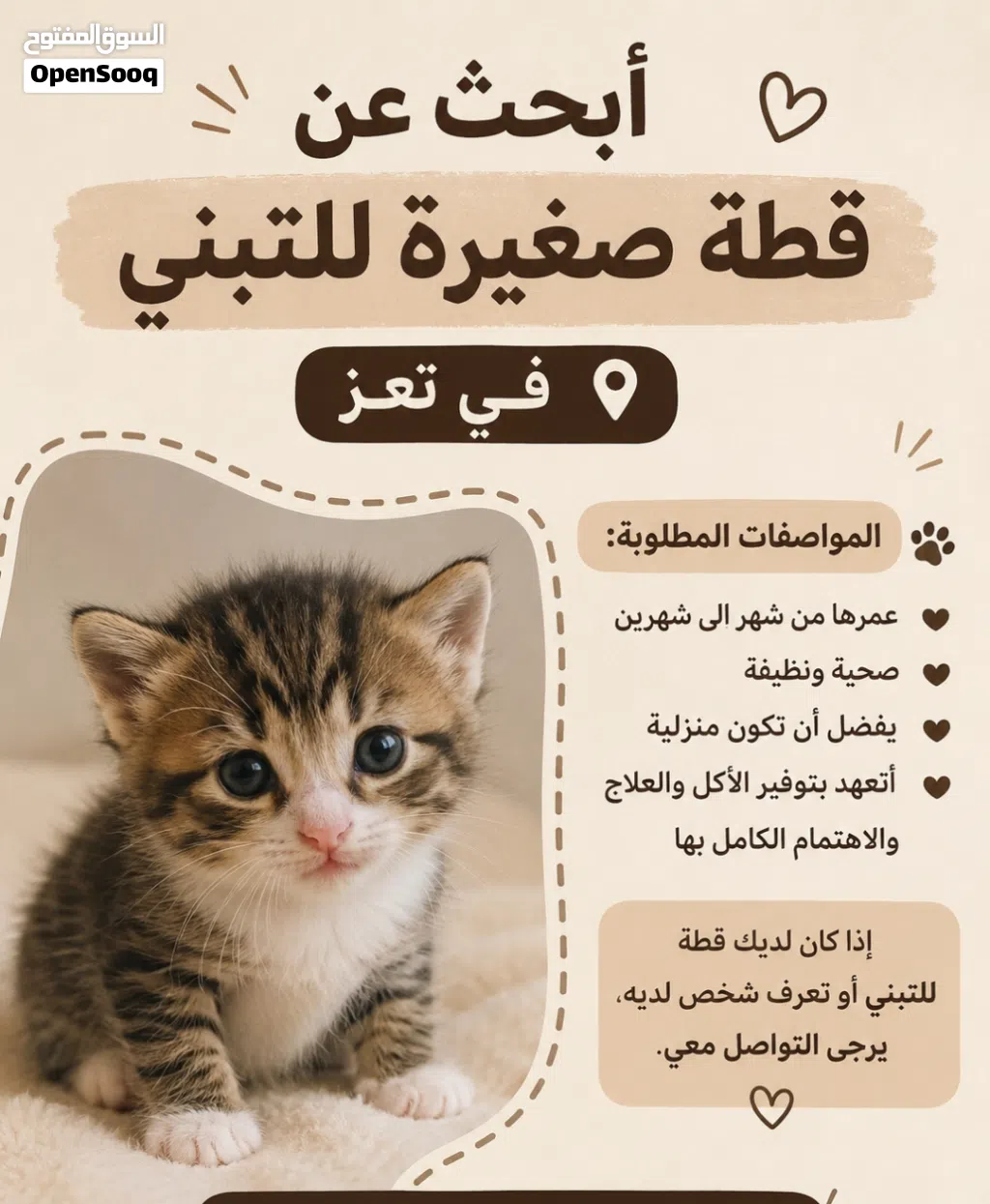 أبحث عن قطة صغيرة للتبنّي في تعز