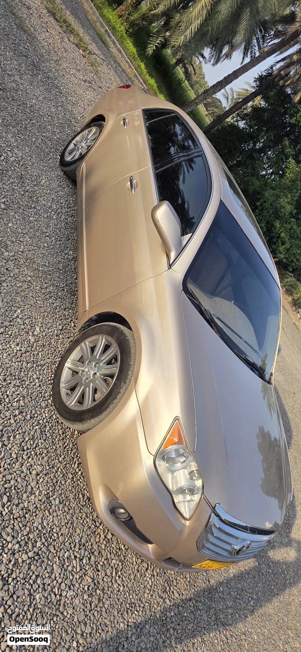Toyota Avalon Limited