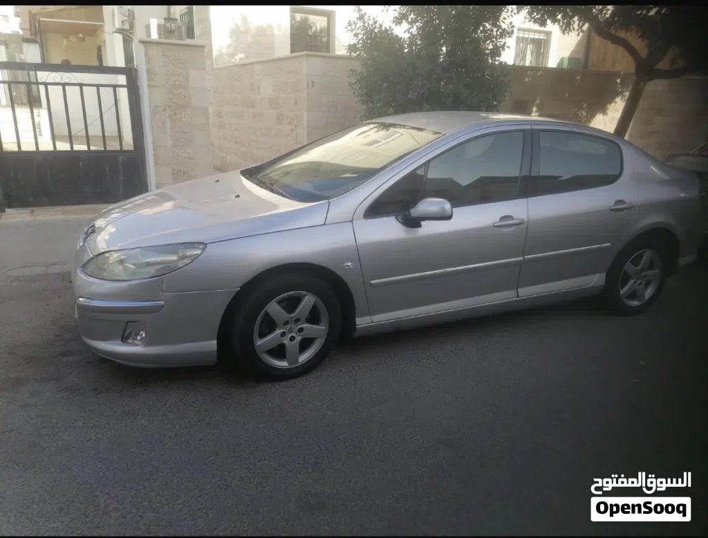 Peugeot 407 Basic