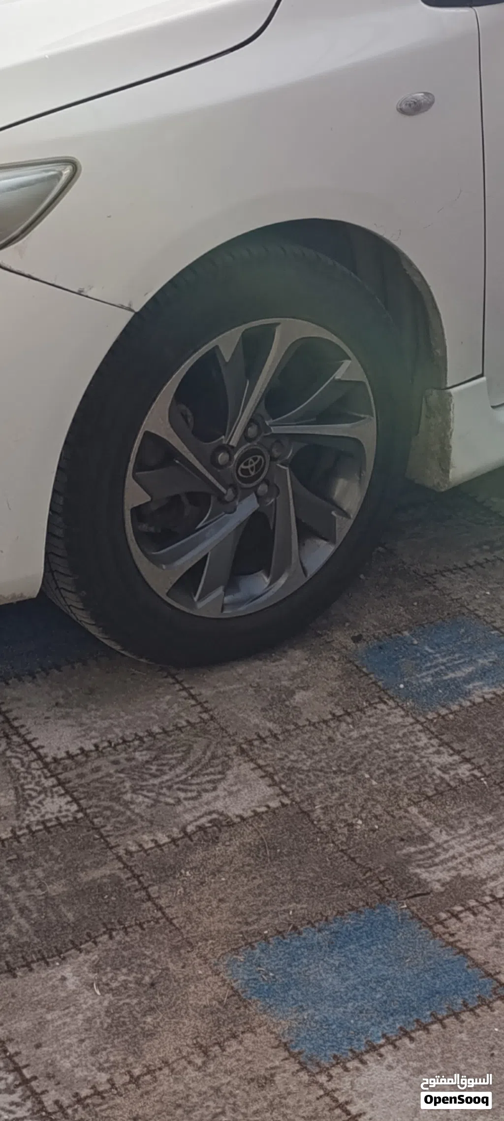 مطلوب ويل كب كورلا 16 نفس الي بالصورة حتة لو واحد
