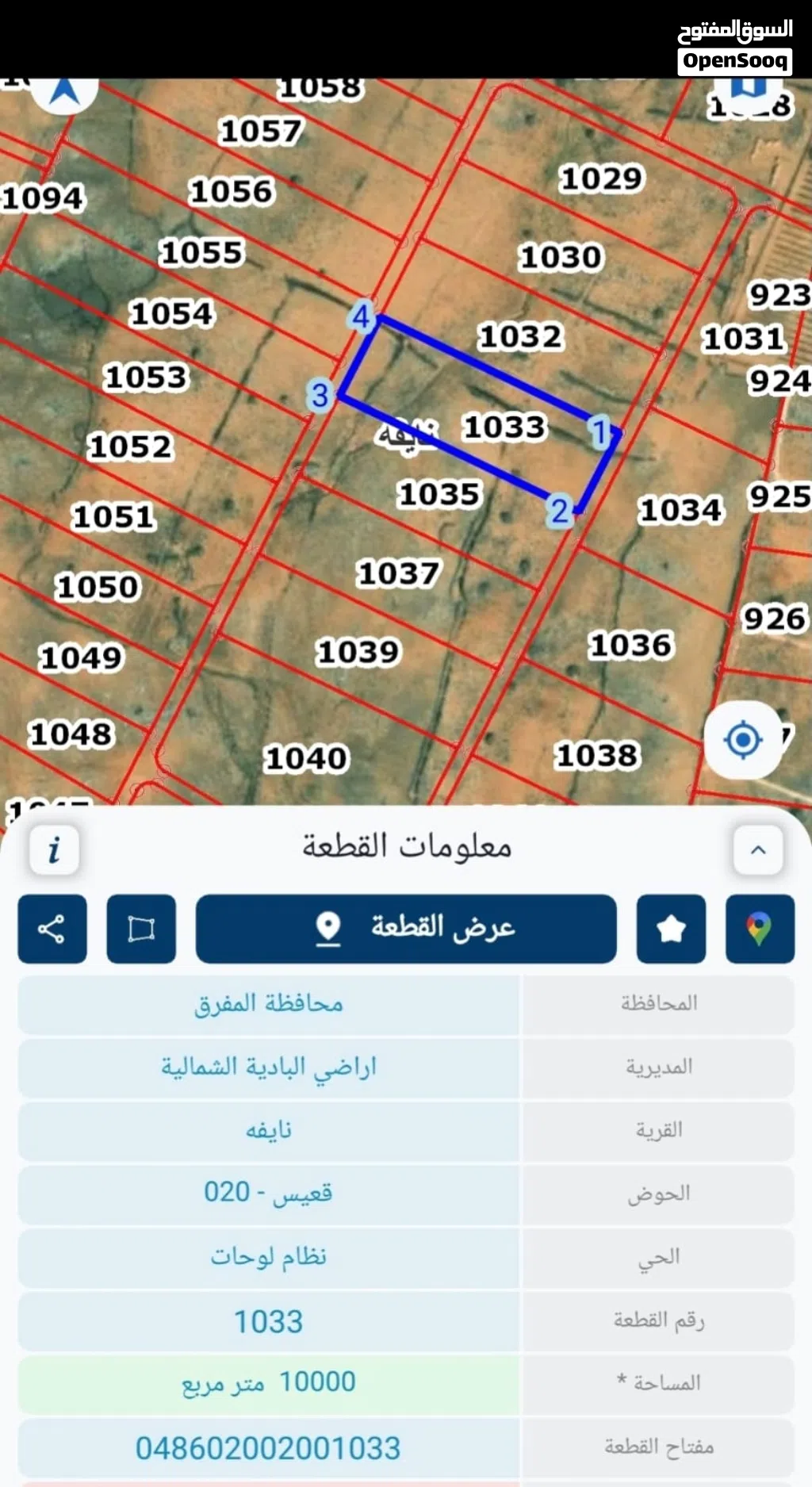 ارض 10 دونم للبيع في المفرق حي نايفه