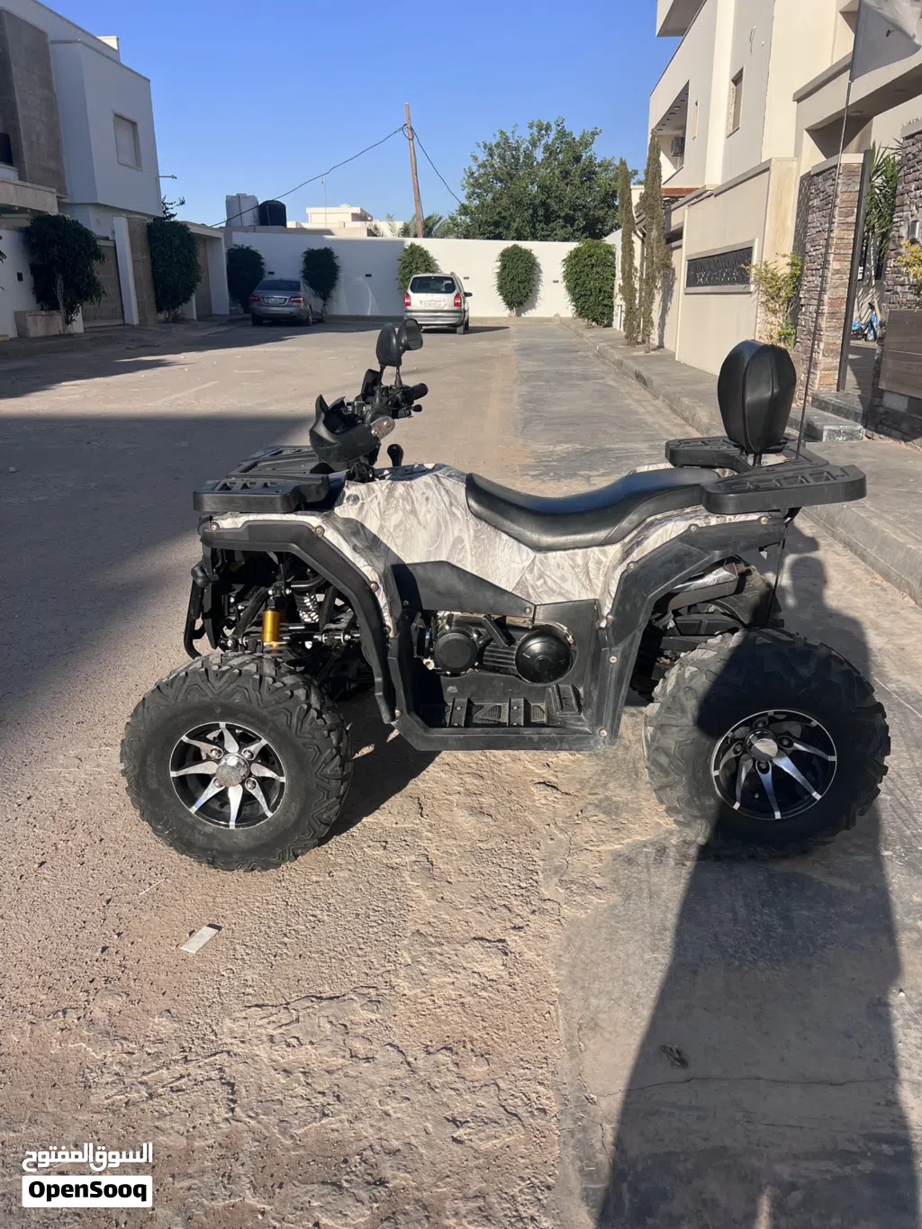 Buggy All Models