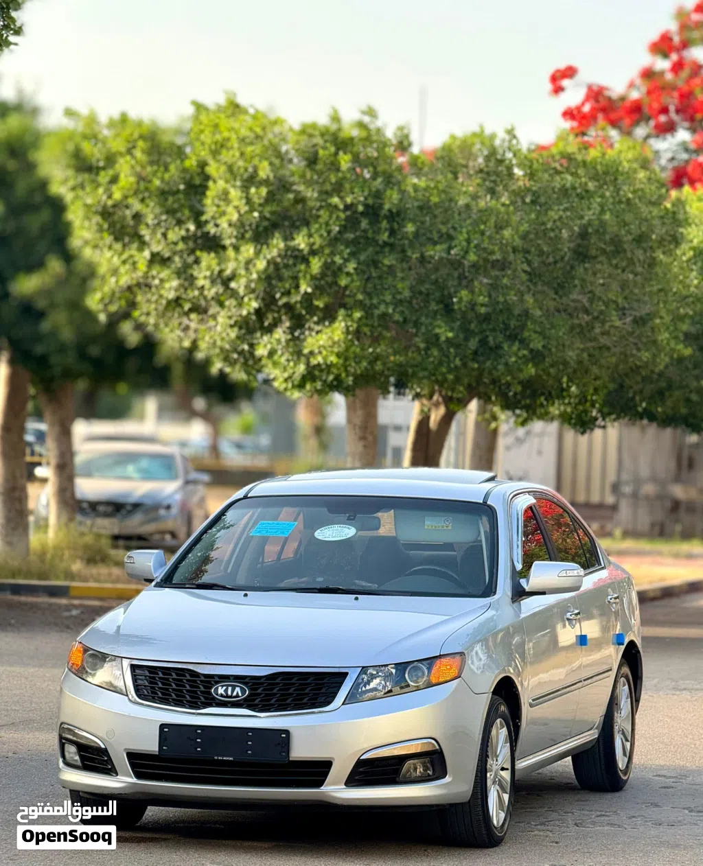 Kia Lotze