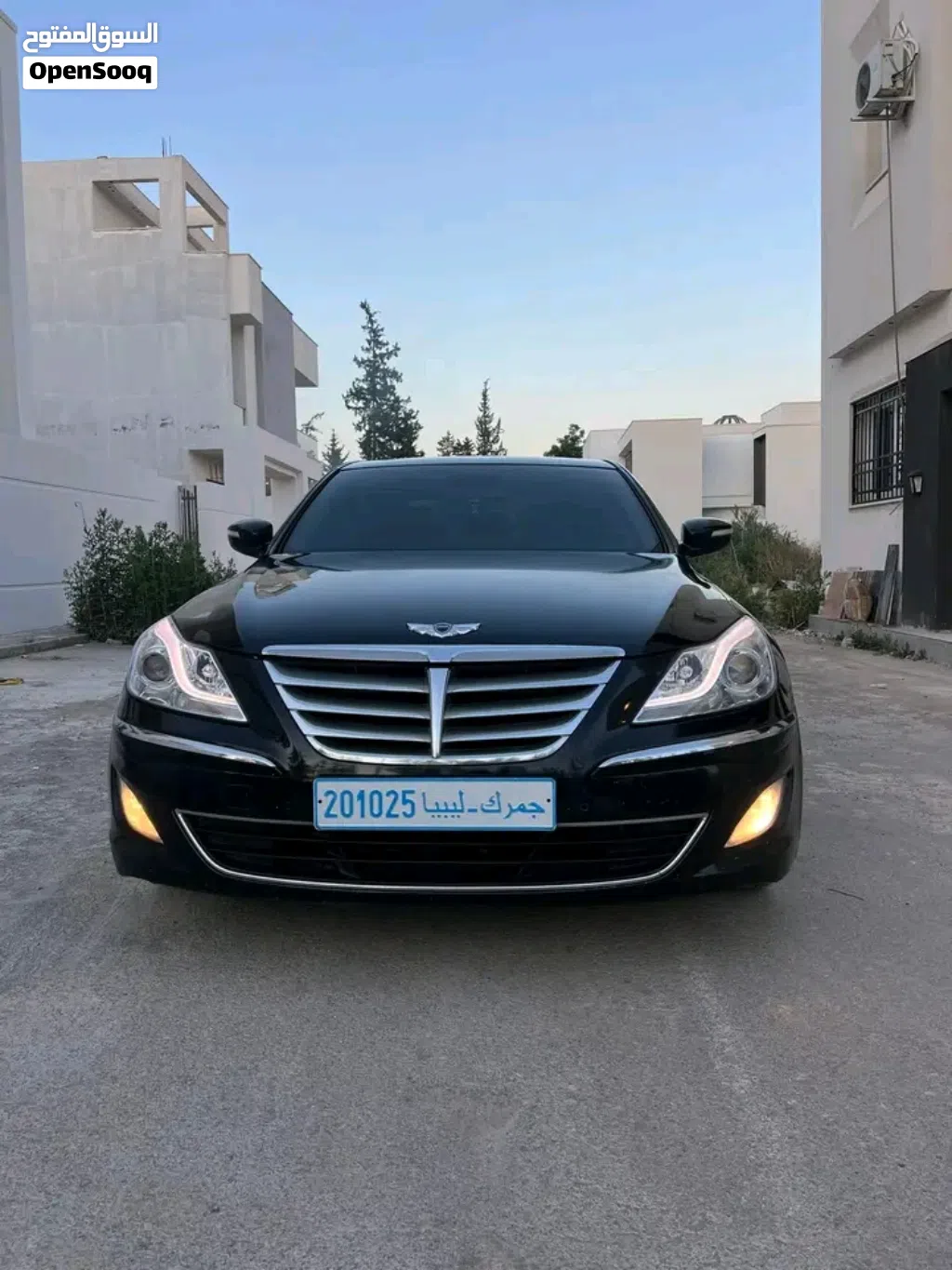 Genesis Other