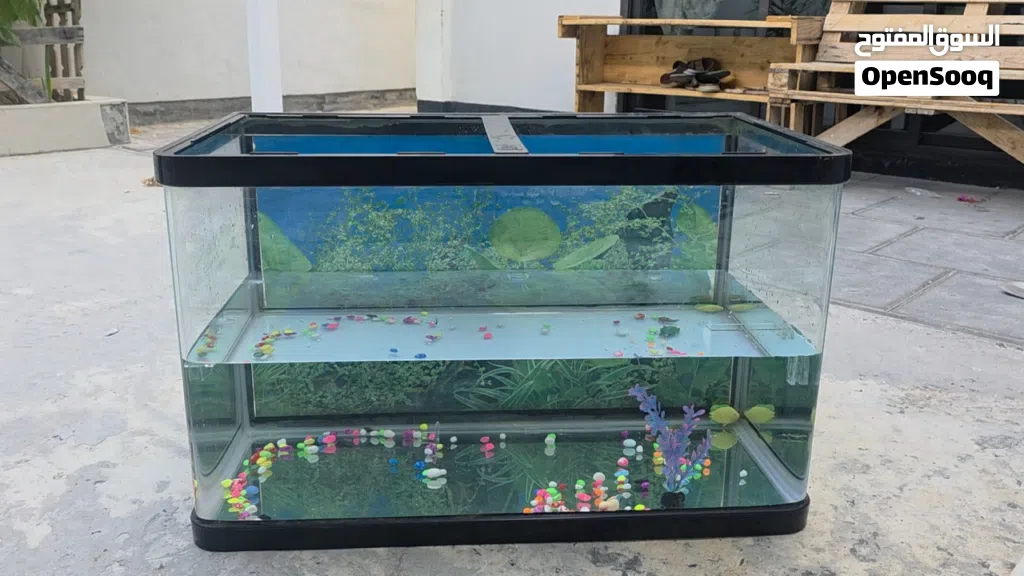 fish tank size 80+45