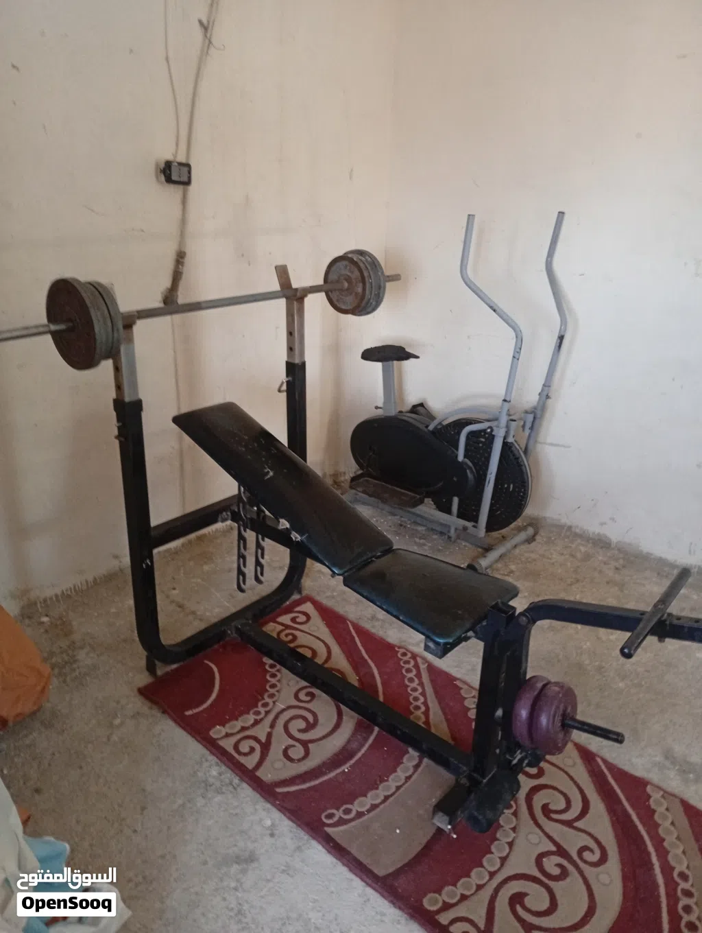 عدد رياضه محليه